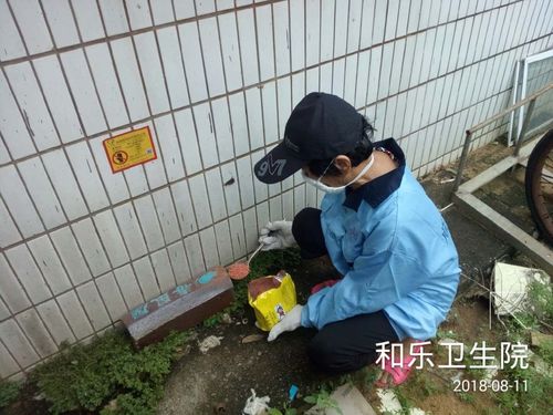 顺海科技万宁办事处和乐镇2018年8月11日工作日志