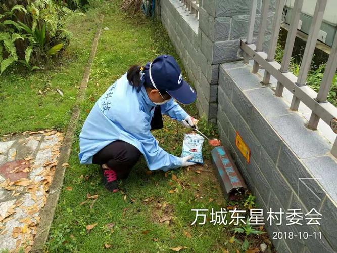 顺海科技万宁办事处2018年10月11日工作日志