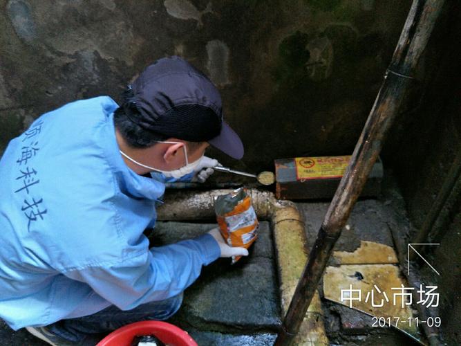 海南顺海科技十一月九日工作日志